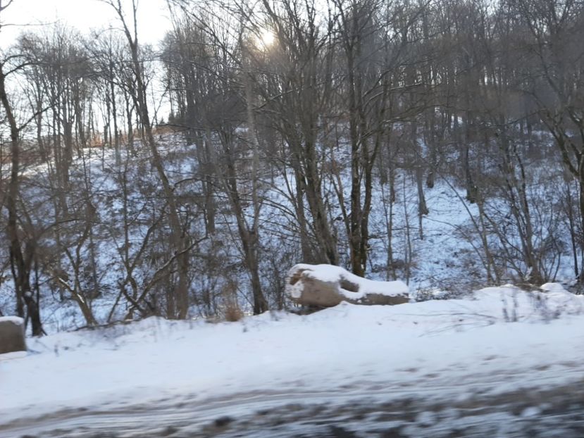  - Zăpadă ianuarie 2020