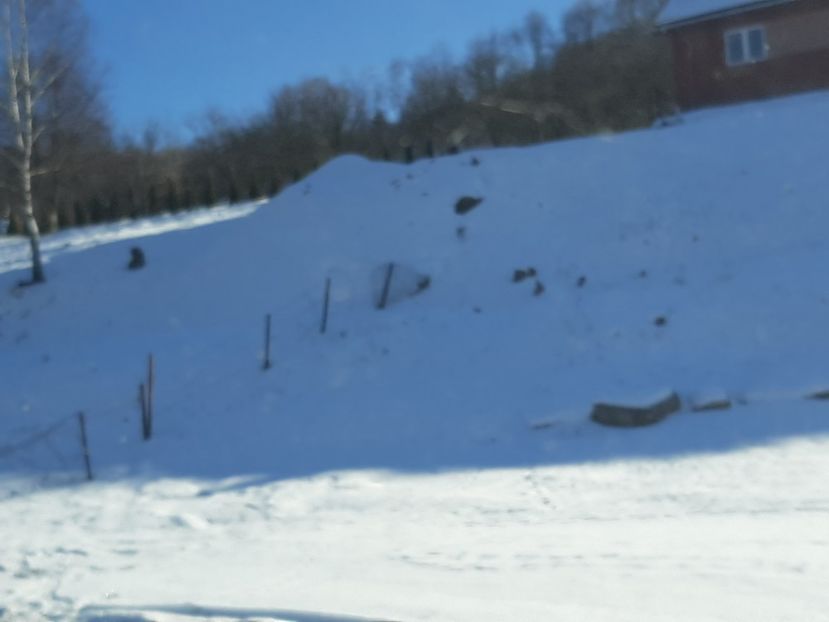  - Zăpadă ianuarie 2020