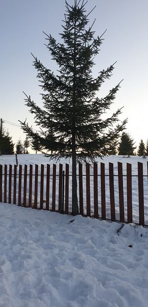  - 2020 WEEKEND LA BELIȘ 17-19 ianuarie