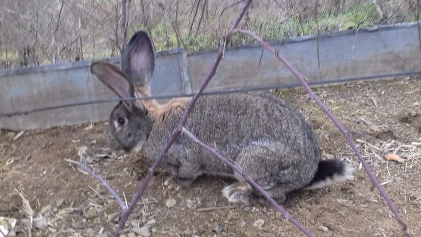 20200118_140204(0) - IEPURI