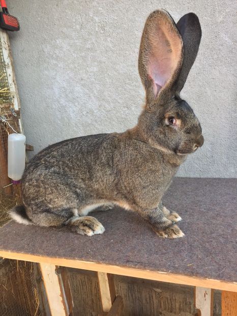 4CDAFC19-CD53-4244-A7F9-FCD122C8A97F - RO 8-2930