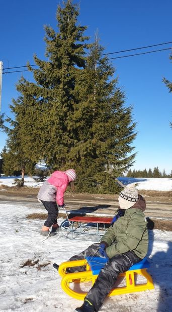  - 2020 WEEKEND LA BELIȘ 17-19 ianuarie