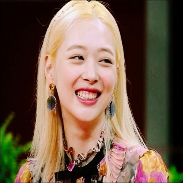 Day 95 - 19.01.2020 - 0x _ In memory of SULLI _ choi jinri