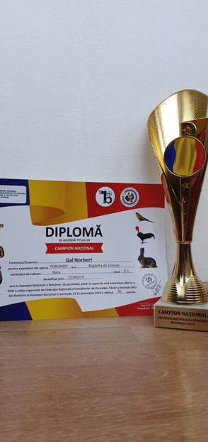 Expozitia Nationala Bucuresti 2019 - Rezultate 2016-20xx