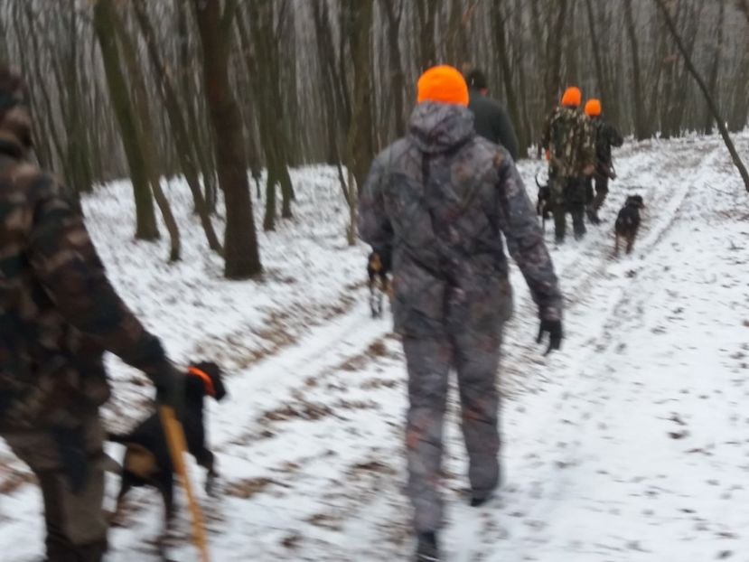  - Prima vînătoare în anul 2020