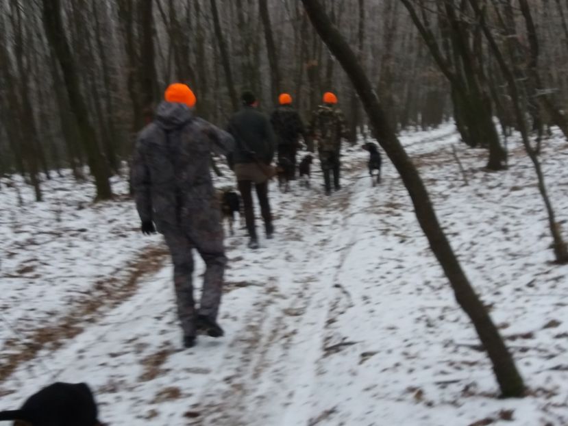  - Prima vînătoare în anul 2020