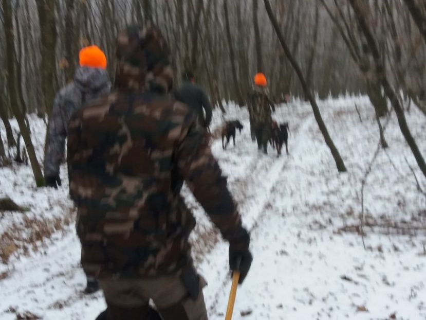  - Prima vînătoare în anul 2020
