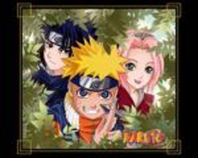 naruto - Album pentru fanclubselly