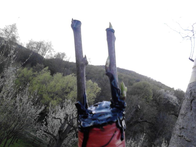  - altoirea in despicatura