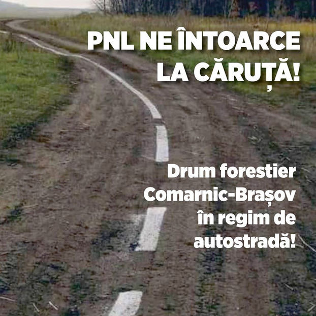 82588353_1875519192593186_8518312937142616064_o - Diverse