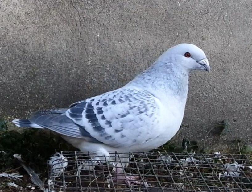 U-560 ARCHIWUM - f- MLODE -2019- Youth