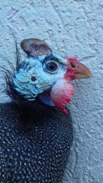 bibilica - 00001Contact