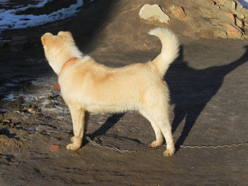  - Paznici in prezent