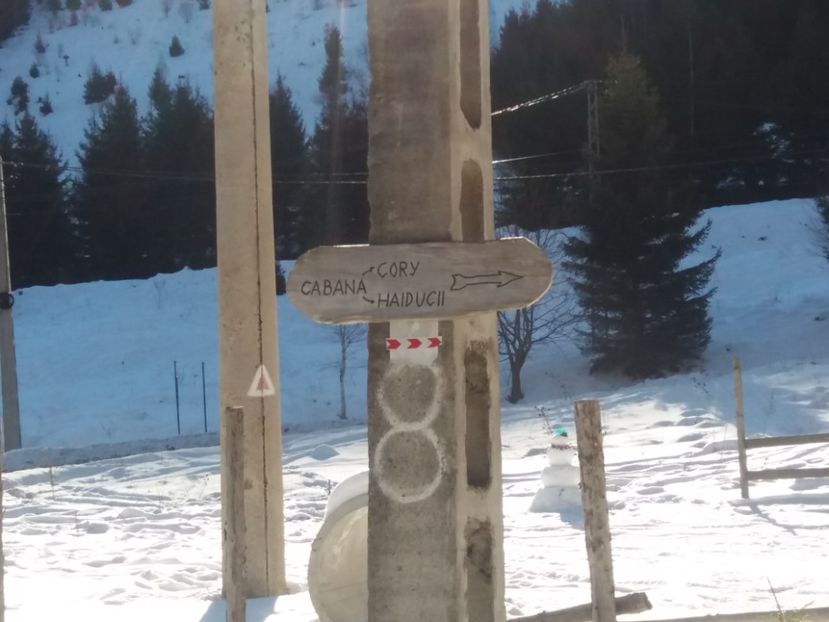  - Un weekend de vis în natură Rîușor 2020