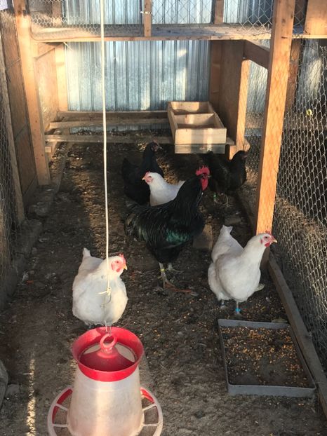 8935FC0A-914E-4E33-BE64-63DB11E1C81C - Boxa 1