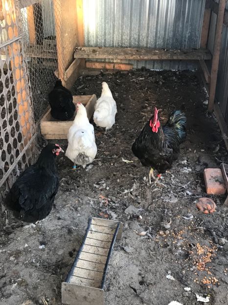 3FA5EAB9-7F37-49D5-9C9A-33567CF3901D - Boxa 3