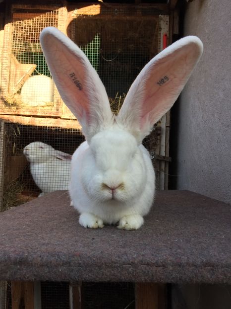 5D488E5D-F07A-4903-ACCA-4F59B6C3B087 - H29-R1664