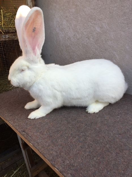 EC42988B-88EE-4E2D-981D-F11E11FBF90B - H29-R1664