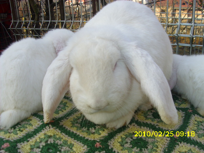 Picture 172