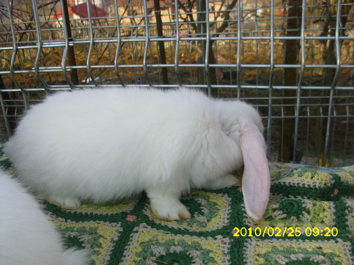 Picture 174