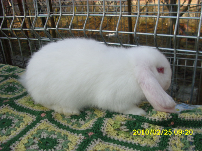 Picture 175