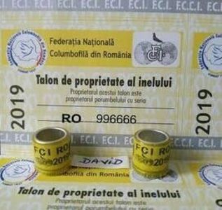 ami - Inele 2014