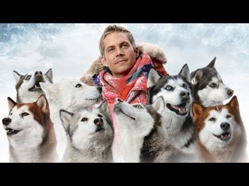 Eight Below - Movies