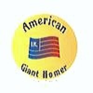 PERECHEA NR. 8 - PORUMBEI AGH PERECHI 2026