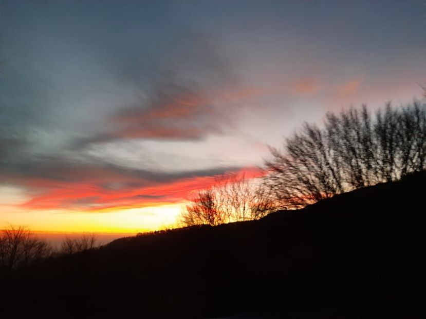  - Cer în ianuarie 2020