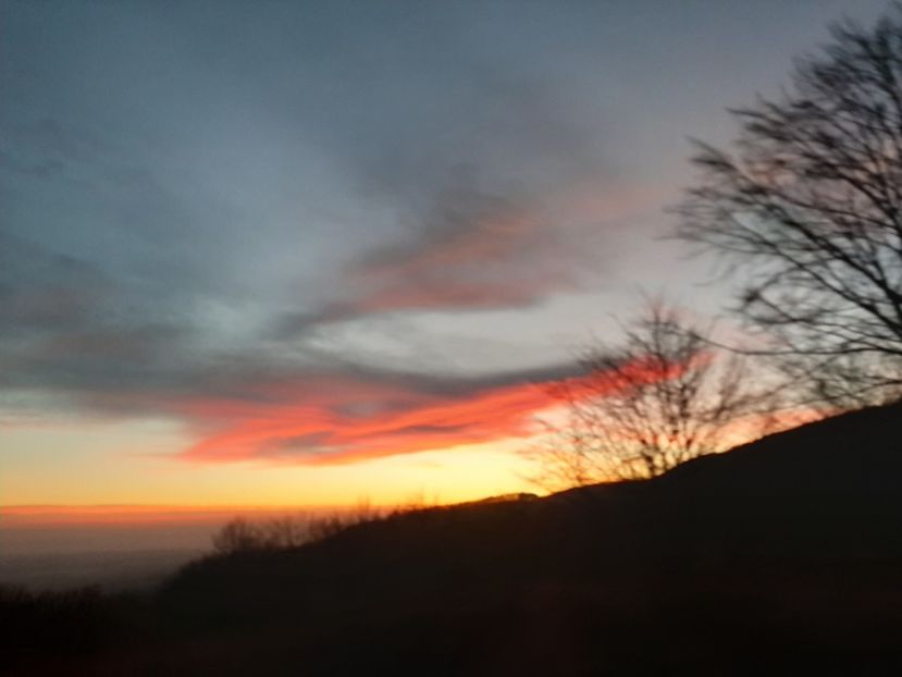  - Cer în ianuarie 2020