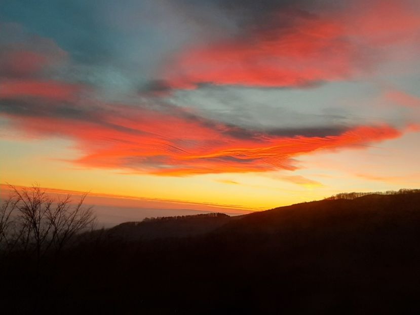  - Cer în ianuarie 2020