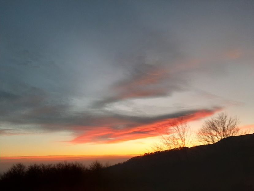  - Cer în ianuarie 2020