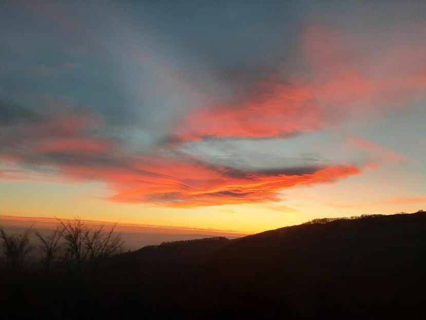  - Cer în ianuarie 2020