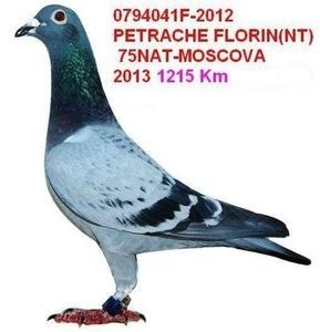  - Perechi matca 2020