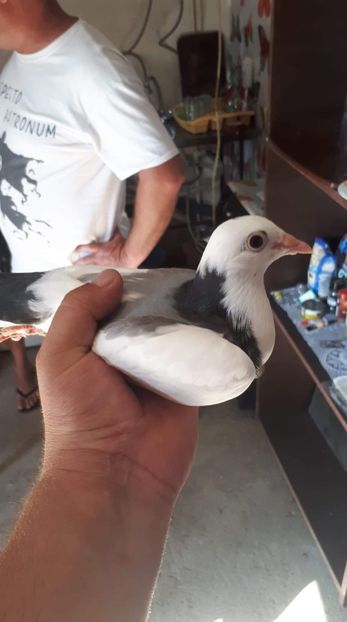 received_407472756620517 - Gălățeni