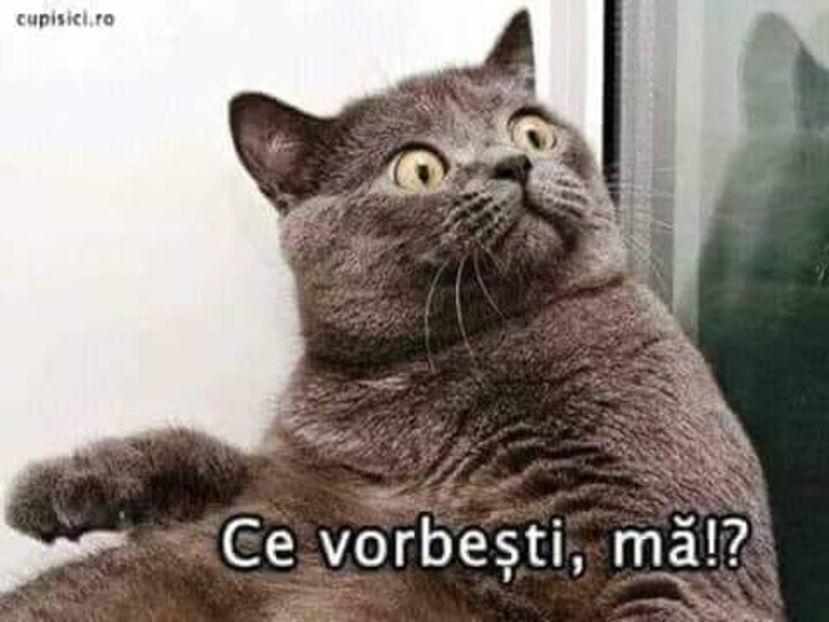 Eurovision 2018 - 2018 Eurovision Song Contest Part 21