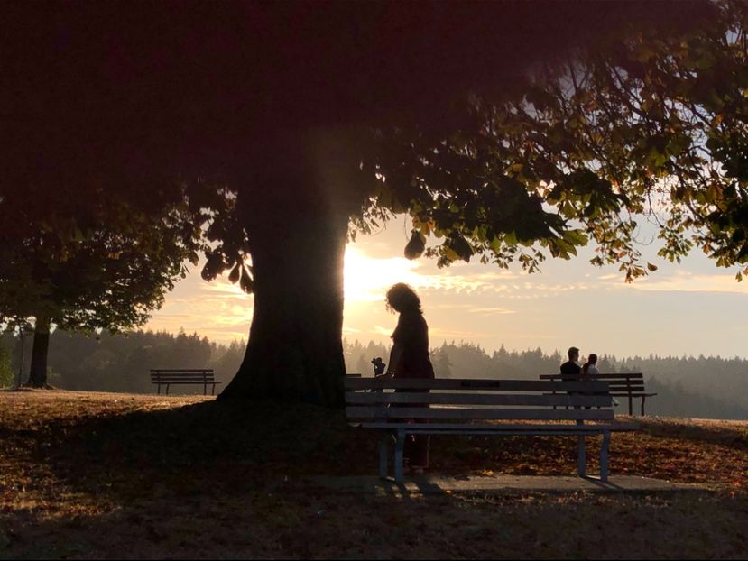 Stanley Park Vancouver august 2019 - 00000 Andruta