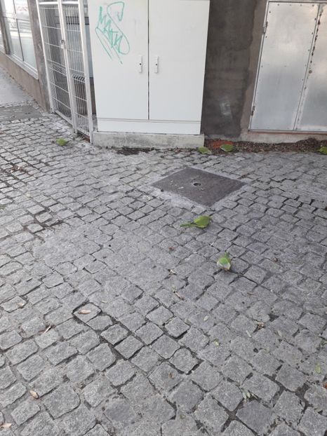  - Barcelona 2020