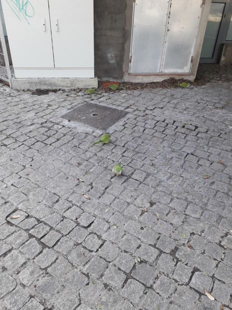  - Barcelona 2020