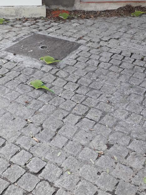  - Barcelona 2020