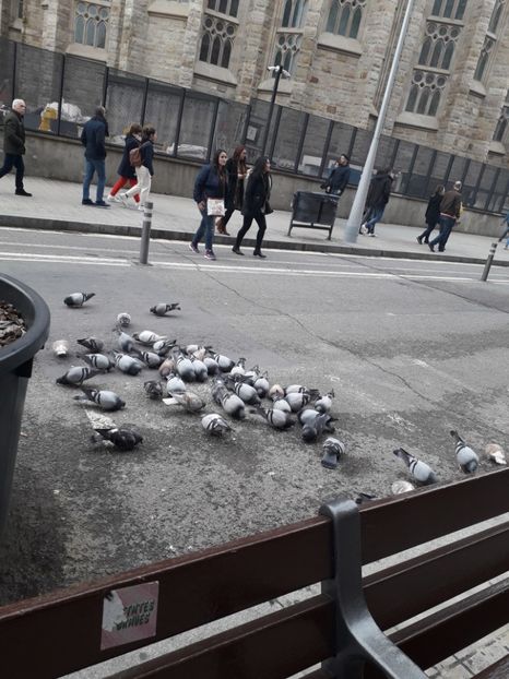  - Barcelona 2020
