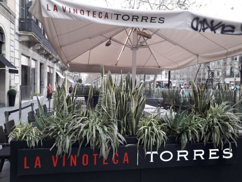  - Barcelona 2020