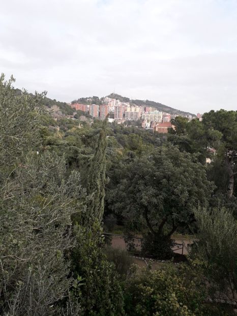  - Barcelona 2020