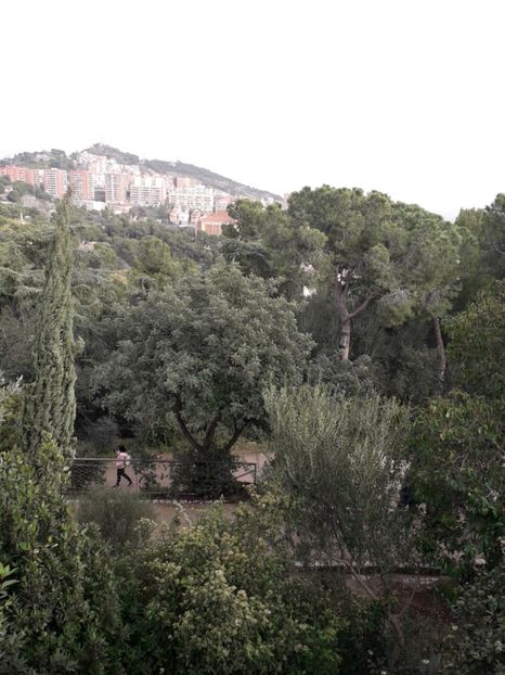  - Barcelona 2020