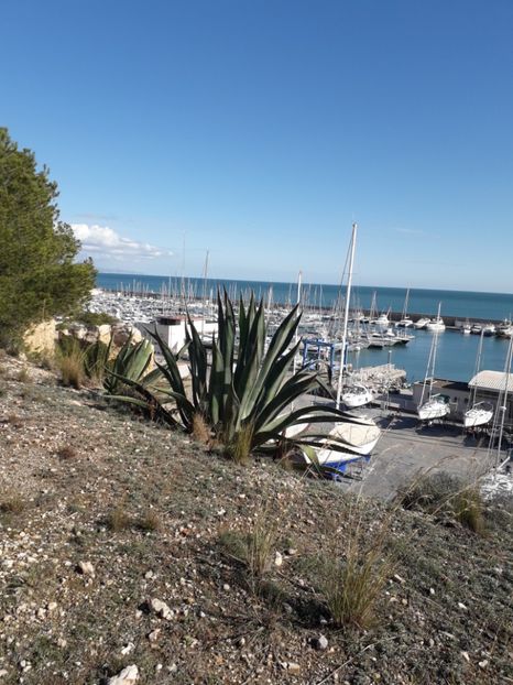  - Barcelona 2020