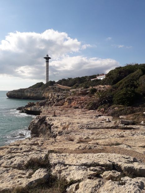  - Barcelona 2020