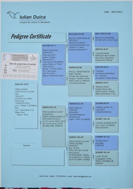 ped Bolide - Bolide