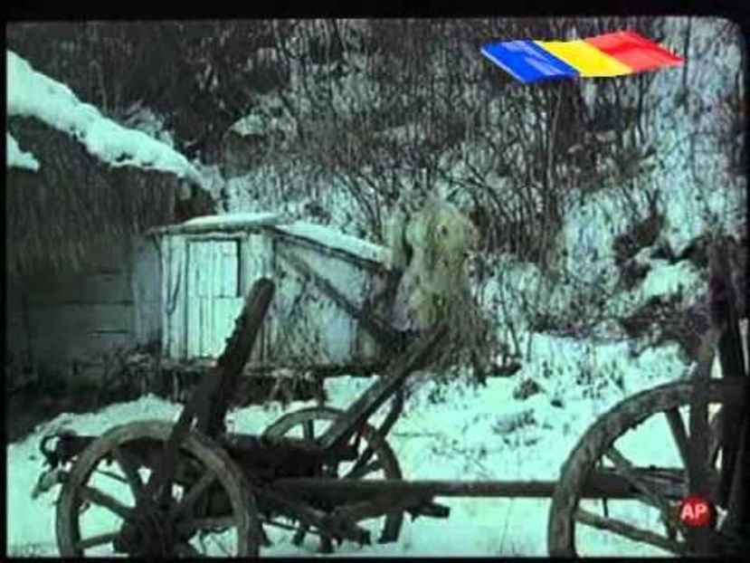 Tusea Si Junghiul - Tusea Si Junghiul 1992