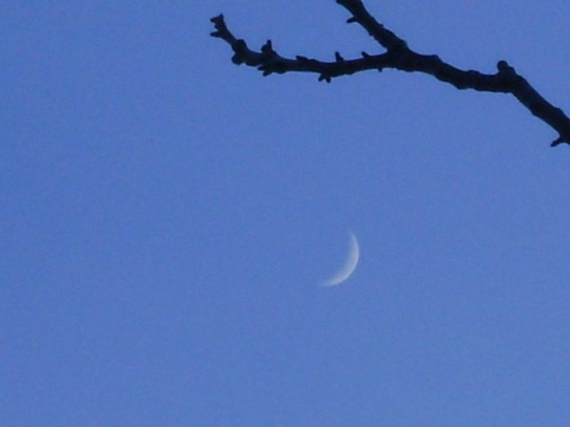 Luna un crestere in Berbec - Luna - Soarele si norii - 2