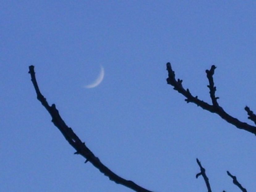 Luna un crestere in Berbec - Luna - Soarele si norii - 2